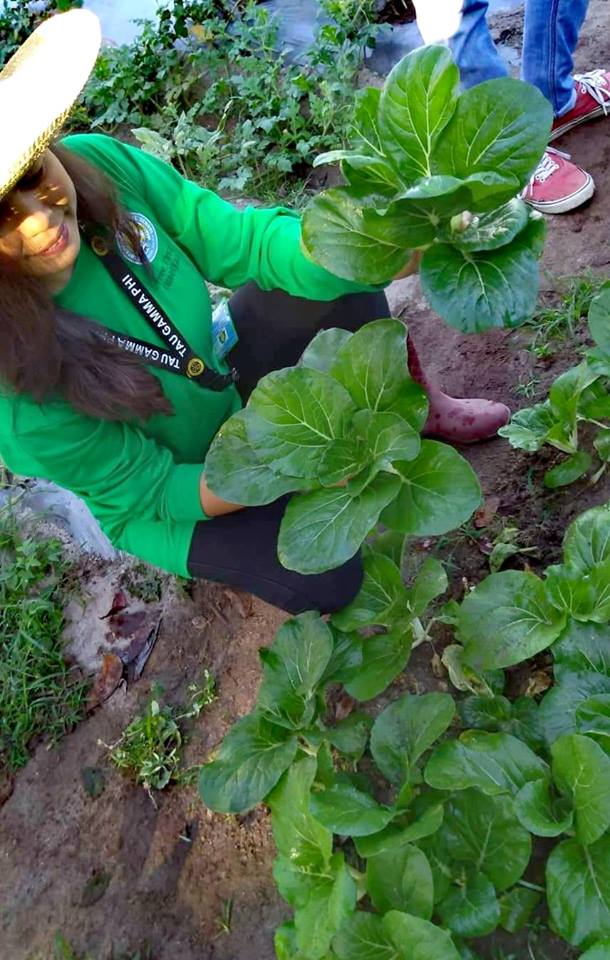 TESDA-CVS constantly practices natural and sustainable organic farming