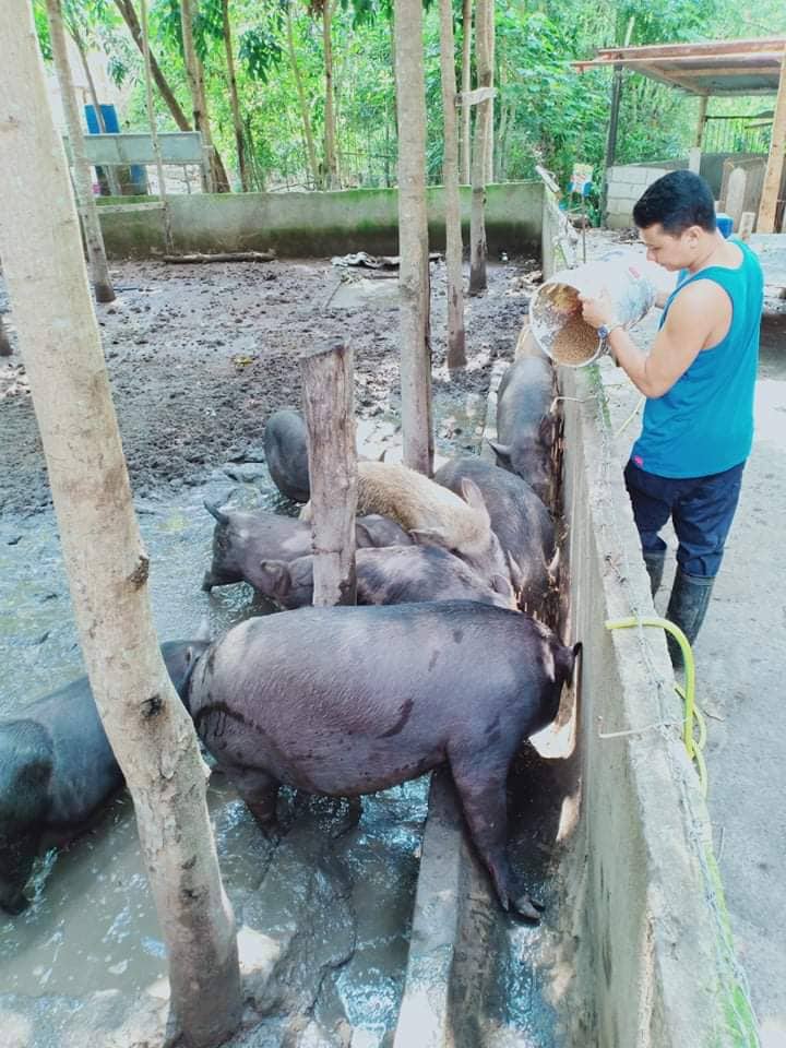 Aljon Sandoval Manguera